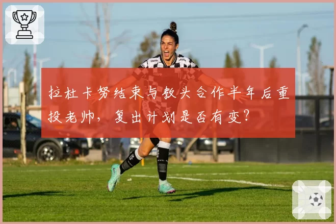 拉杜卡努结束与教头合作半年后重投老帅,复出计划是否有变?