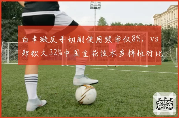白卓璇反手切削使用频率仅8%，vs郑钦文32%中国金花技术多样性对比