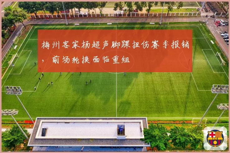 梅州客家杨超声脚踝扭伤赛季报销，前场轮换面临重组